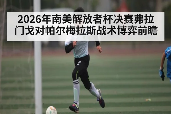 2026年南美解放者杯决赛弗拉门戈对帕尔梅拉斯战术博弈前瞻 | hth