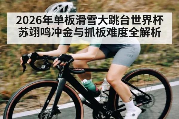 2026年单板滑雪大跳台世界杯苏翊鸣冲金与抓板难度全解析 | hth