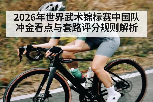 2026年世界武术锦标赛中国队冲金看点与套路评分规则解析 | hth